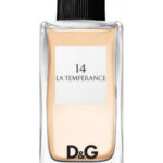Dolce & Gabbana N° 14 La tempérance