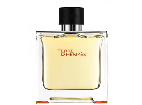 Terre d'Hermes - Hermès 100 ML EDT SPRAY *
