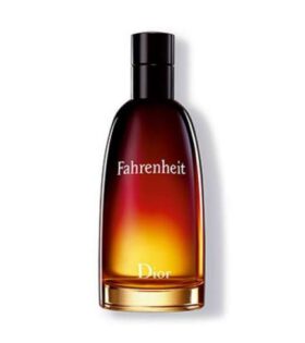 Fahrenheit - Dior 100 ml EDT SPRAY *