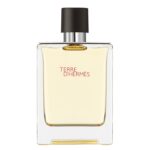 Hermes Terre d'Hermes 100 مل او دي تواليت