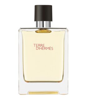 Hermes Terre d'Hermes 100 ML EDT