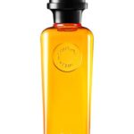 Water Tangerine Amber – hermes 100 SPRAY ml EDC *