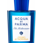Cèdre bleu méditerranéen de Taormina