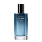 DAVIDOFF COOL WATER FOR HIM