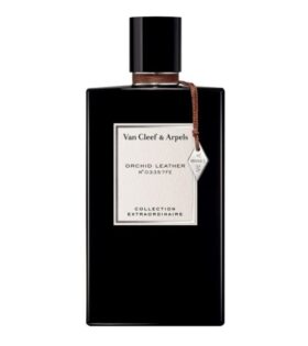 مجموعة جلد الأوركيد غير عادية