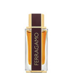 Ferragamo cuir épicé hommes