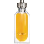 The flight Cartier Cartier 100 ml EDP