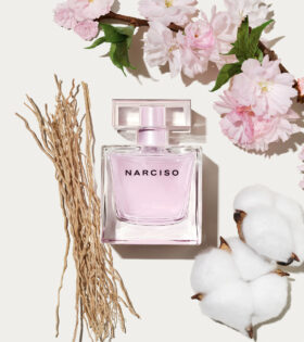 نارسيسو رودريغيز راديانت نارسيسو