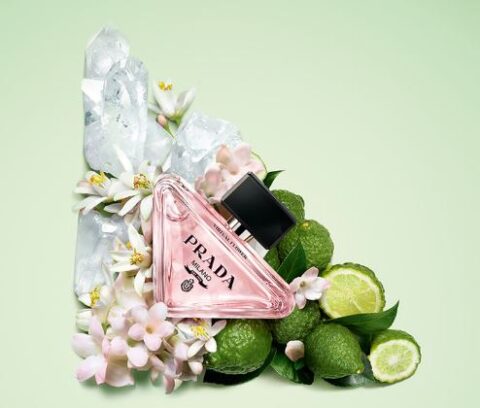 Paradoxe Virtual Flower NOTE